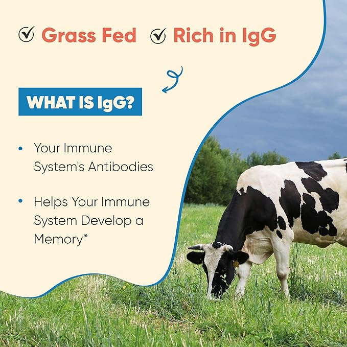 Sandhu's Grass Fed Bovine Colostrum Powder for Humans, Adults | 65 Servings (Pack of 2) Cows Supplement | High IgG for Gut Health | Immunity & Muscle Recovery Support | Unflavored | for Men & Women