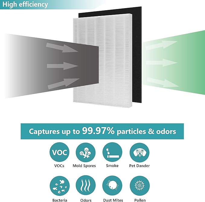 D360 True HEPA Replacement Filter D3 Compatible with Winix D360 Air Purifier, Item Number 1712-0101-02, 2 H13 True HEPA Filters with 8 Carbon Pre-filters