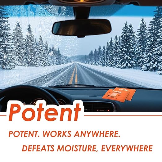 100Gram 10Packets Fonday Rechargeable Silica Gel Desiccant Packets Food Grade Fast Reactivate Desiccant Bags Moisture Indicating Orange to Green