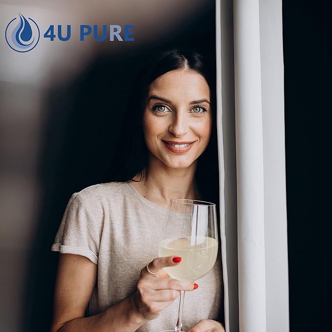 FPPWFU01 Replacement Compatible with EPPWFU01 PureAdvantage PWF-1 FPPWFU01 PurePour PWF-1 Water and Ice Filter, 2 Pack