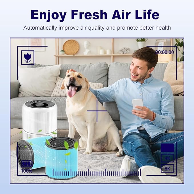 AP0601 Replacement Filter Compatible with AIRTOK AP0601 Air Purifier, 4-in-1 H13 True HEPA and High-Efficiency Activated Carbon Filter, AP0601-RF, 2 Pack