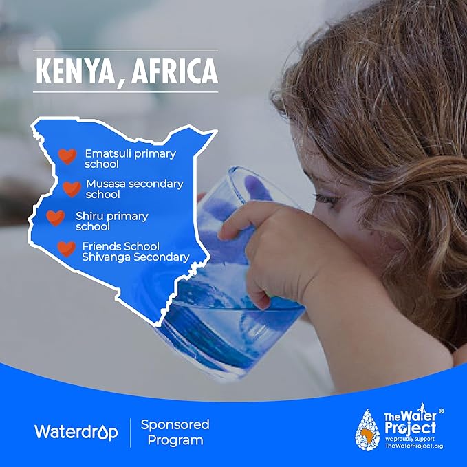 Waterdrop Replacement for GE® RPWFE®, RPWF (Built-in CHIP) Refrigerator Water Filter, Compatible with GFE28GYNFS, GFE28GELDS, PFE28KELDS, PFE28KYNFS, GFD28GELDS, PWE23KELDS, 2 Filters