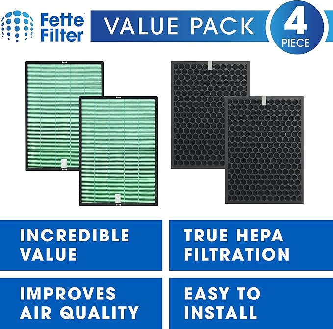 Fette Filter - Air Purifier Replacement Set Compatible with BioGS 2.0 Filter Kit for Model SPA-550A and SPA-625A Contains 1 Hepa Filter & 1 Carbon Filter