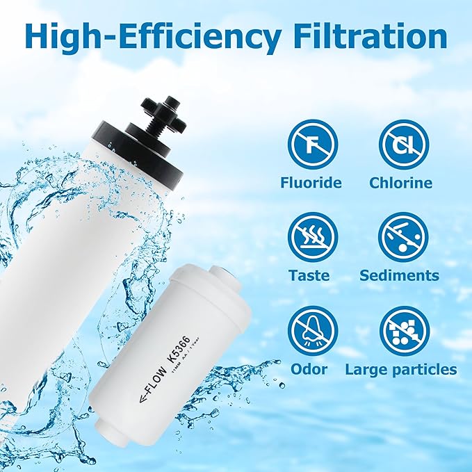 【Upgraded】Larayci Ceramic Filter & Fluoride Filter Replacement for Berkey® BB9-2 Black Filters & PF-2 Fluoride Filters, Compatible with Berkey® Gravity Water Filter System, Combo Pack