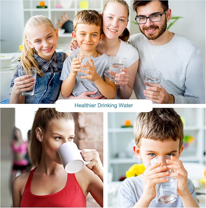 APEX EXPRT RF-1060 Replacement Countertop Water Filter, 5 Stage Mineral pH Alkaline Water Filter Cartridge, Easy Install Water Purifier - Reduces Heavy Metals, Bad Taste and Up to 99% of Chlorine