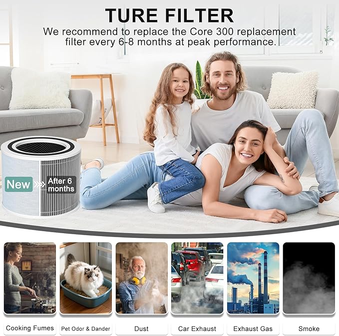 2PCS Doifyn Core 300 Replacement Filter for LEVOIT Core 300 Core300-P Core 300S Core 300S/P VortexAir Air Purifier, Core 300-RF, Smoke Remover