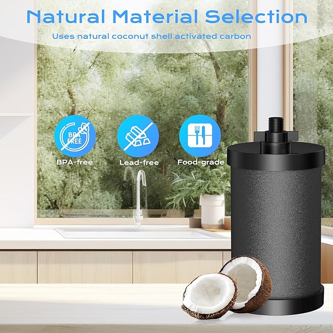 2387 Pro Filter, NSF/ANSI 42 Certified for Alexapure Water Filter Replacement, 5000 Gallon Water Filter Compatible with Alexapure Water Filtration System, 1 Pack