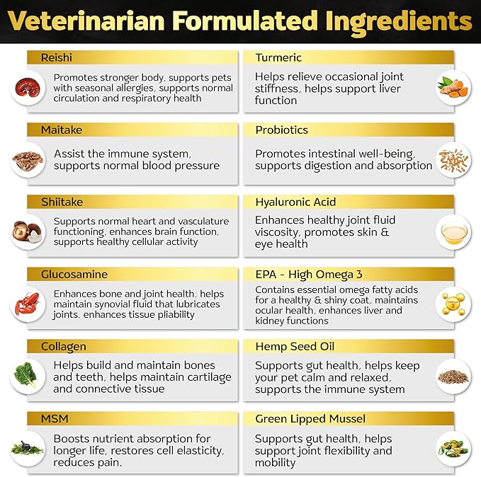 Soft Chews Hip and Joint Supplement for Dogs - Dog Joint Pain Relief Treats - Glucosamine, Chondroitin, Turmeric - Mobility Bites Supplement