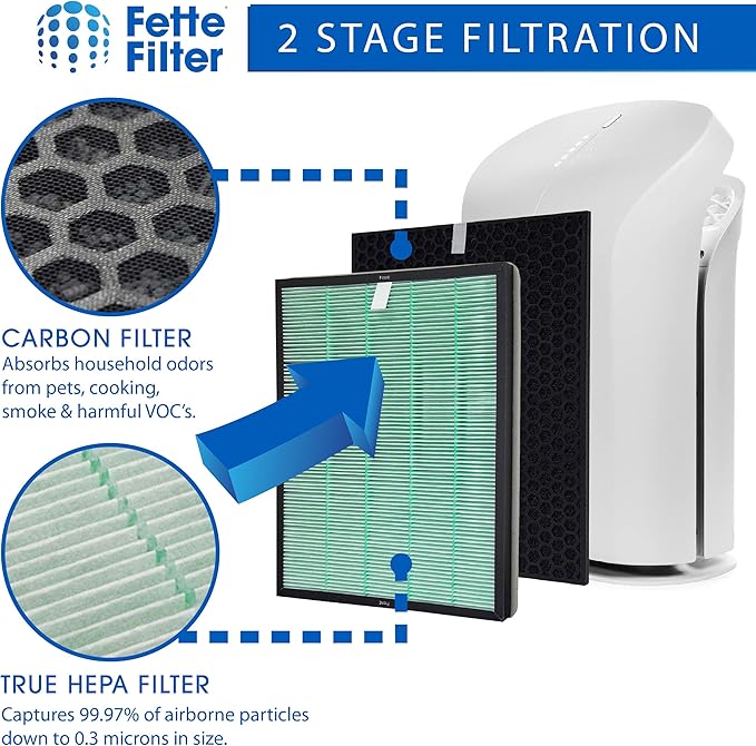 Fette Filter - Air Purifier Replacement Set Compatible with BioGS 2.0 Filter Kit for Model SPA-550A and SPA-625A Contains 1 Hepa Filter & 1 Carbon Filter