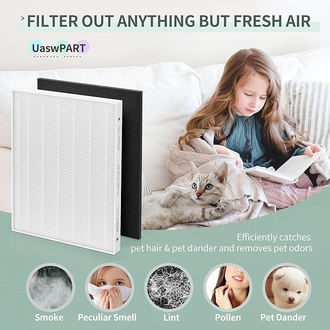 Aera Max 300 HEPA Filter Replacement Compatible with Fellowes Aeramax 290/300/DX95 Purifiers HEPA Air Filter 9287201, Also Fit AP-300PH HF-300, 2 HEPA & 6 Carbon Pre-Filter
