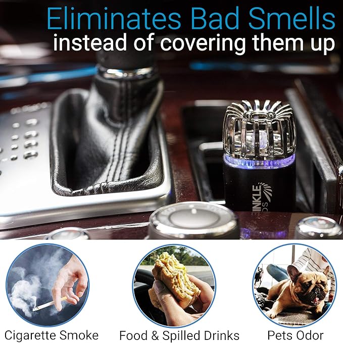 Car Air Purifier Ionizer - 12V Plug-in Ionic Anti-Microbial Car Deodorizer with Dual USB Charger - Smoke Smell, Pet and Food Odors, Allergens, Viruses Eliminator for Car (Matte Black)