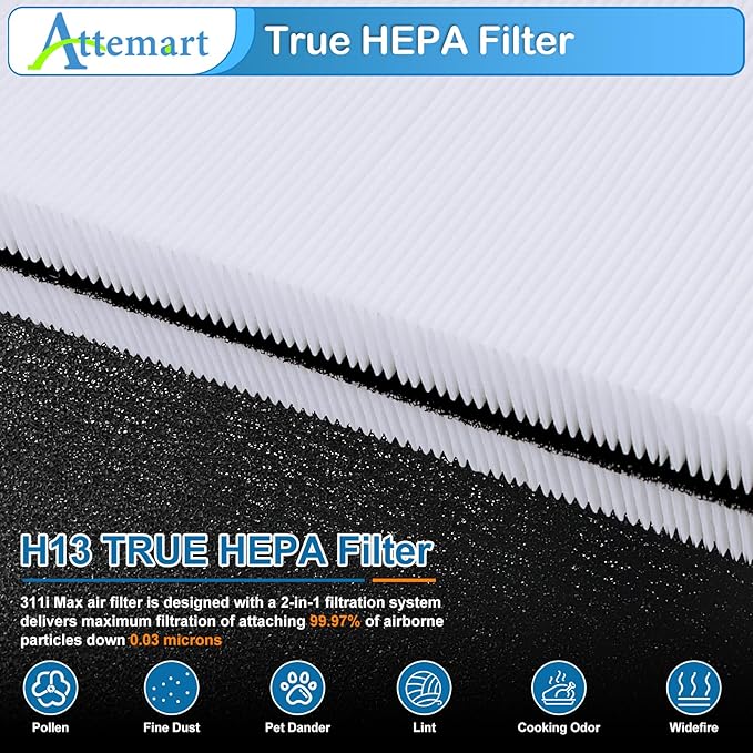 Replacement Filters Compatible with Blueair Blue Pure Mini Max Air Purifier, True H13 Filter and Carbon Filter, 2 Pack