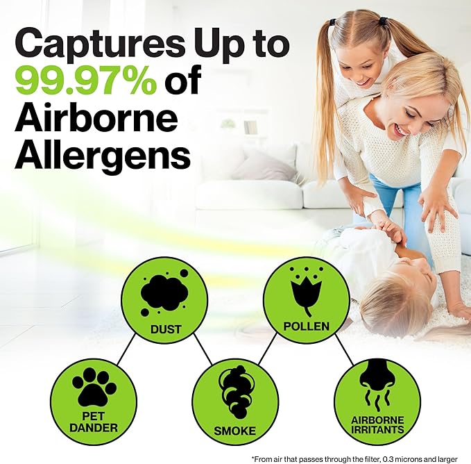 Durabasics Air Purifier Replacement Filter for Levoit Filter Replacement LV-PUR131, LV-PUR131S and LV-PUR131-RF | 2 HEPA & 2 Activated Carbon Pre-Filters