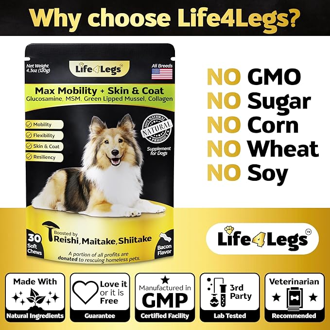 Soft Chews Hip and Joint Supplement for Dogs - Dog Joint Pain Relief Treats - Glucosamine, Chondroitin, Turmeric- Mobility Supplement (Hip & Joint + Skin & Coat, Bacon - 30 Soft Chews)