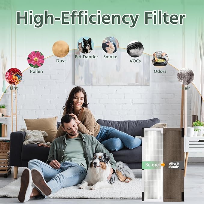 Replacement Filter C for Idylis IAF-H-100C, IAP-10-200, IAP-10-280, 2 Pack Type C Hepa Filter & 2 Activated Carbon Pre-Filter)