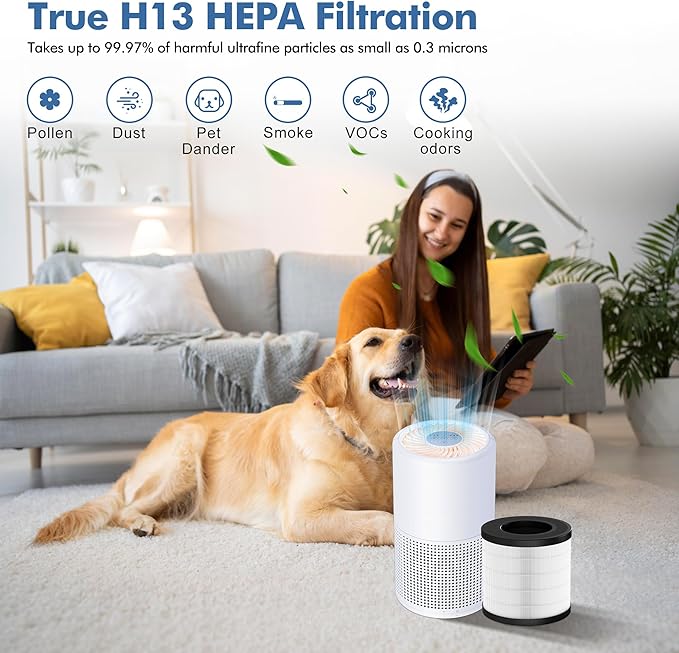 PU-P05/AC201B Replacement Filter Compatible with FULMINARE PU-P05 and Purivortex AC201B Air Purifiers, H13 True HEPA Air Filter for Home Pets Dander Dust Smoke Pollen 2pack