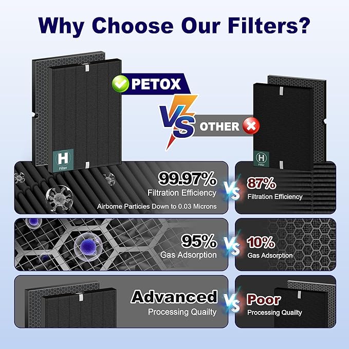 116130 Smoke Remover Replacement Filter H for Winix 5500-2 AM80 Plasmawave Air Purifier, True HEPA Filter and Activated Carbon Filter Combo Pack, 2 Set, Black