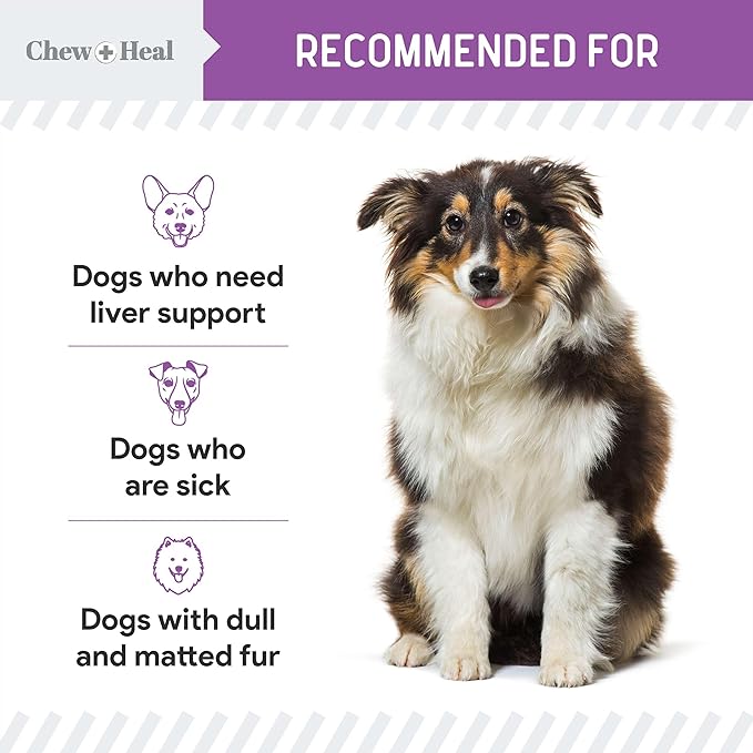 Milk Thistle for Dogs Liver Support - 4 oz Liquid Milk Thistle Supplement for Kidney and Liver Support - with Wild Alaskan Salmon Oil and Moringa Oil - Made in USA