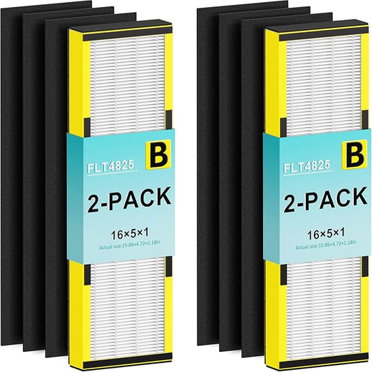 Filter B, FLT4825 Filter Replacement for Guardian AC4825 AC4825E AC4300 AC4800 AC4850 Air Purifier – 2 True HEPA Filters & 6 Pre-Filters (2-Pack)