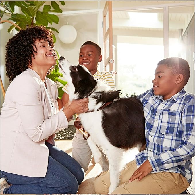 Filtrete 14x20x1 AC Furnace Air Filter, MERV 11, MPR 1000, Micro Allergen Defense, 3-Month Pleated 1-Inch Electrostatic Air Cleaning Filter, 4 Pack (Actual Size 13.81x19.81x0.81 in)