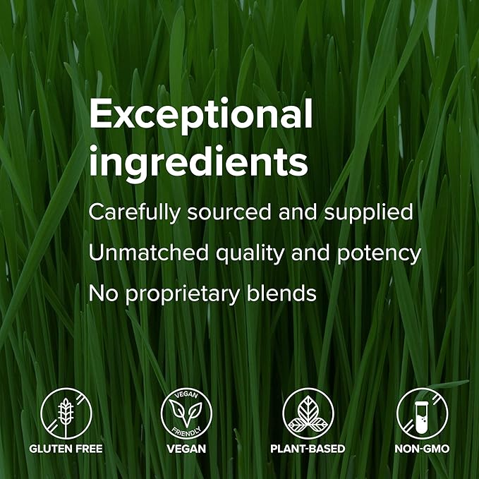 Vibrant Health, Maximum Vibrance, Complete Vegan Meal Shake with Plant-Based Protein, Vanilla Bean, 15 Servings