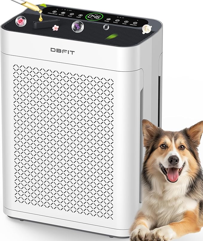 Air Purifiers for Home Large Room up to 3000sq.ft, DBFIT HEPA Double-Sided Air Purifier with Washable Filter, PM 2.5 Display Air Quality Sensor, Air Cleaner for Bedroom, Dorm Room, Pets, Office, AP300