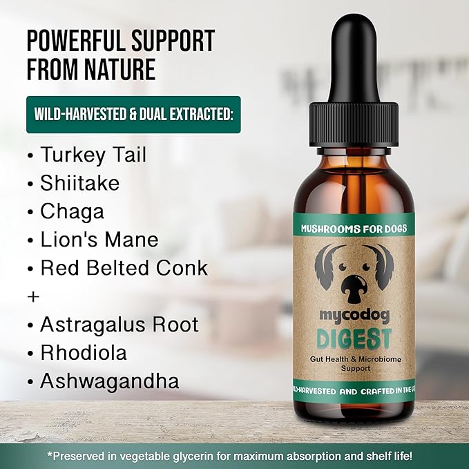 MycoDog Digest - Mushroom Extract & Adaptogen Tincture Dog Supplement - Dog Digestive Support Blend - Roots, Herbs, & Mushroom Extracts Including Chaga, Shiitake, & Turkey Tail