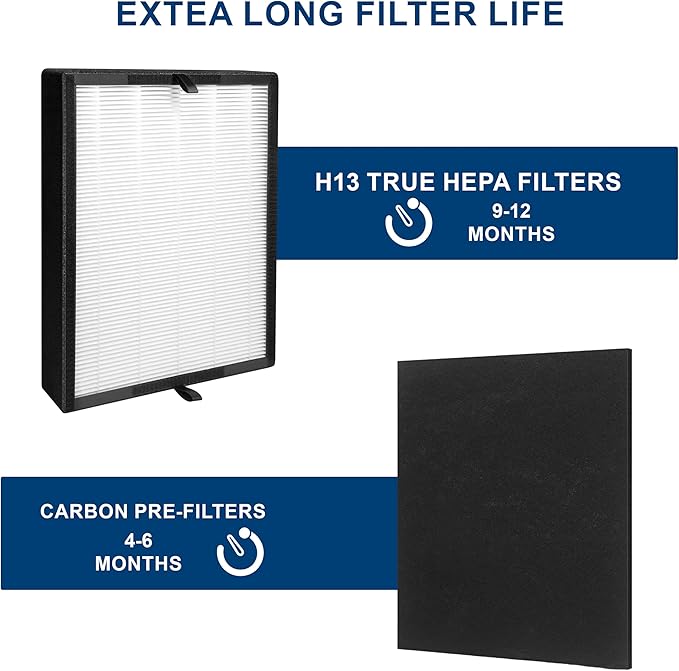2 Pack True HEPA 45i Replacement Filter, Compatible with 45i and Breathesmart Flex Bh400 air purifier, Compared # B4-Fresh/FL40-Silver-Carbon, B4-Pure, 2 HEPA Filter + 4 Pre Filter