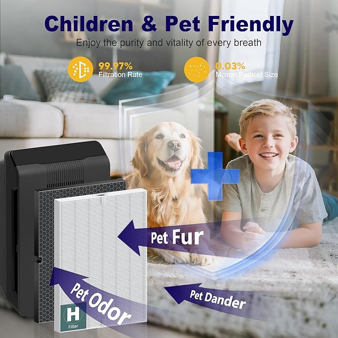 116130 Replacement Filter H for Winix 5500-2 AM80 Plasmawave Air Purifier, True HEPA Filter and Activated Carbon Filter Combo Pack, 4 Set