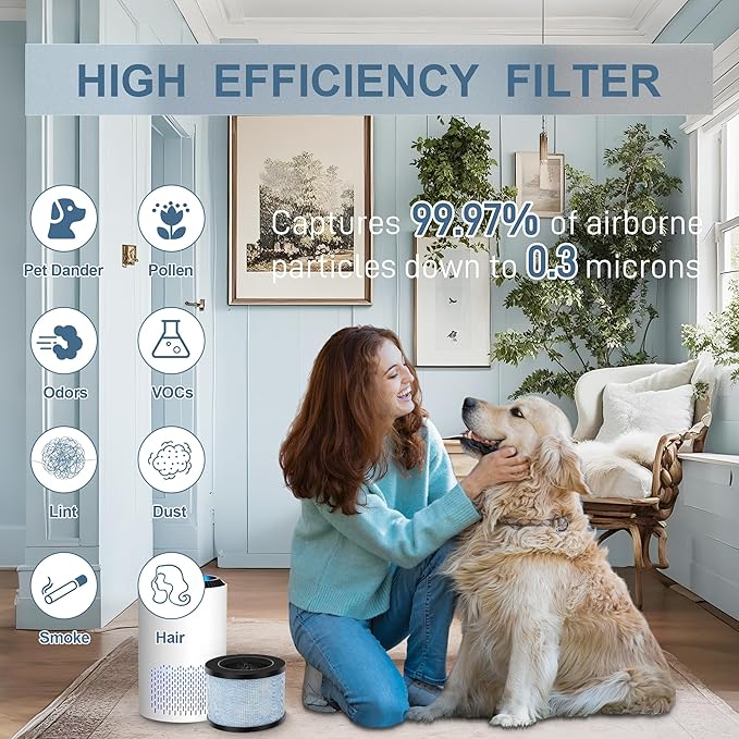 MK-01 & MK06 True HEPA Filter Replacement Compatible with Aroeve MK01, MK06, ToLife TZ-K1, FreAire KN6391 and Kloudi DH-JH01 Air Purifier, Standard Version, Pack of 4