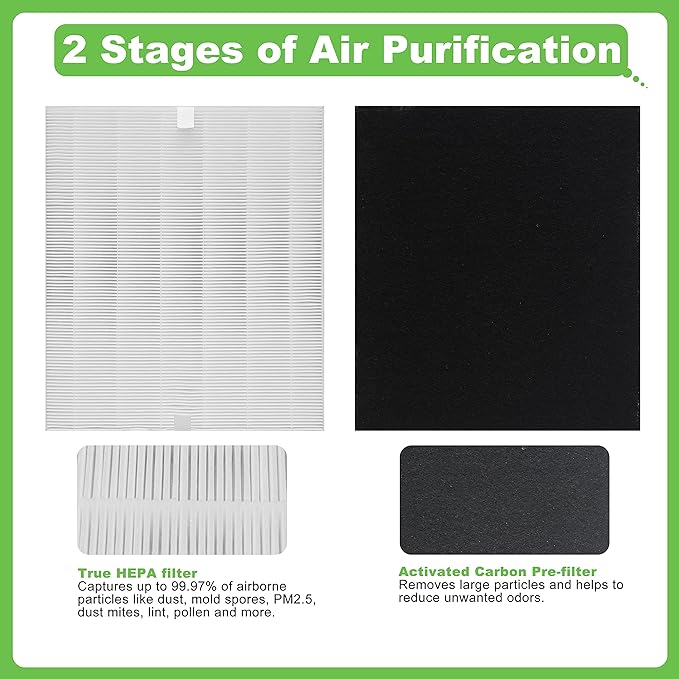 D480 True HEPA Replacement Filter D4, Compatible with Winix D480 Air Purifier, Compare to Winix D4 Filter, Item Number 1712-0100-00, 2 H13 True HEPA Filter & 8 Activated Carbon Filters
