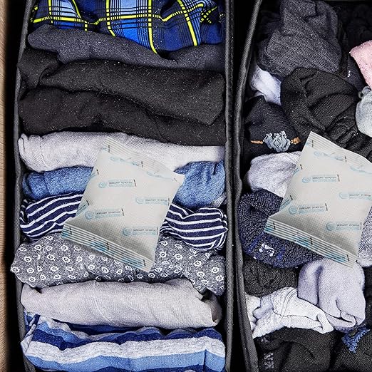 120 Packs 100 Gram Silica Gel Packets, Dessicant Packets for Storage, Pure and Safe Silica Gel Desiccant Packs, Moisture Absorber Silica Gel Beads Packs for Moisture Control