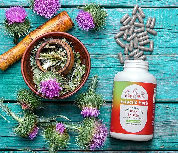 Eclectic Institute Raw Freeze-Dried Non-GMO Milk Thistle | with Silymarin for Liver Support - Detox, Cleanse & Maintain | 240 CT