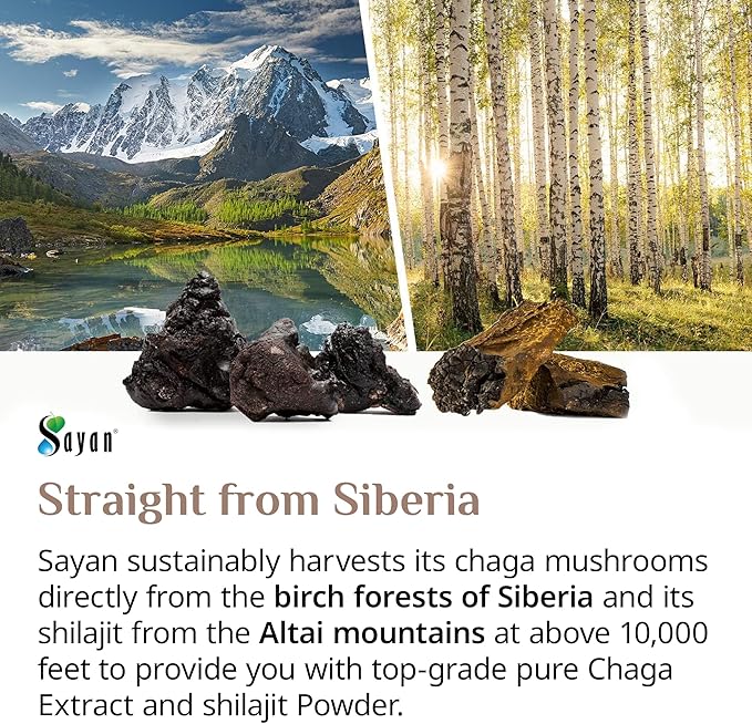 Sayan Siberian Chaga Mushroom Extract with Shilajit Powder (2 oz) – Organic Antioxidant Tea – Immune and Digestion System Support – Fulvic Acid Supplement – Energy & Clarity – No Fillers