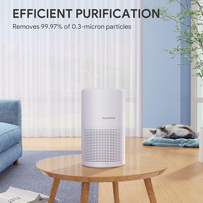 Air Purifiers for Bedroom, FULMINARE H13 True HEPA Air Filter, Quiet Air Cleaner With Night Light,Portable Small Air Purifier for Home, Office, Living Room
