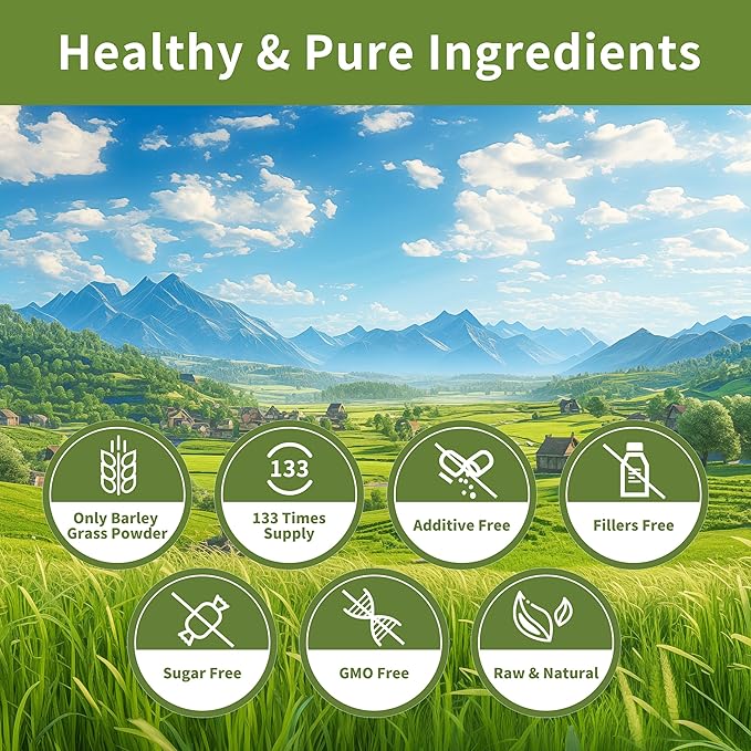 Hudetex Barley Grass Juice Powder 14 oz - 100% Pure Wheatgrass Powder, Supports Cardiovascular, Liver and Digestive Function, Vegan, No Maltodextrin & Sugar.