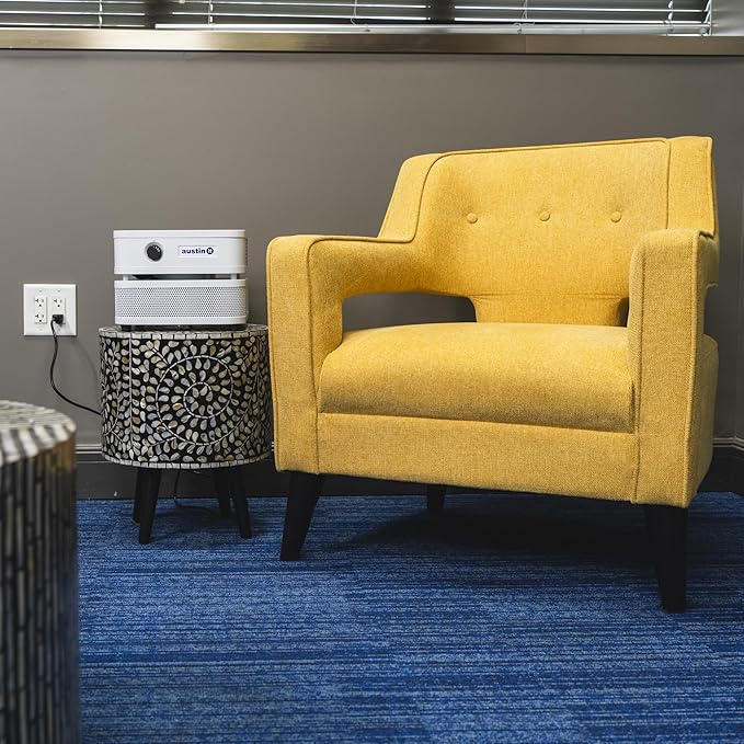 Austin Air it Room Air Purifier with VOC Carbon Wrap Air Filters - Personal Air Filter Single Room Air Purifiers - Portable Allergy Purifier - Stylish Tabletop Purifier for Dust, Model C100CC1