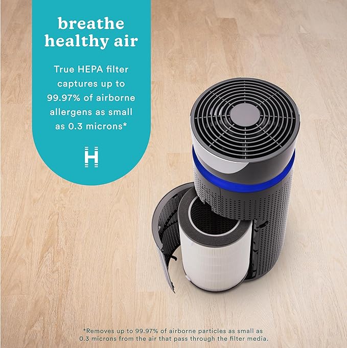 HoMedics TotalClean 3-in-1 True HEPA Filter Replacement (Pack of 2)