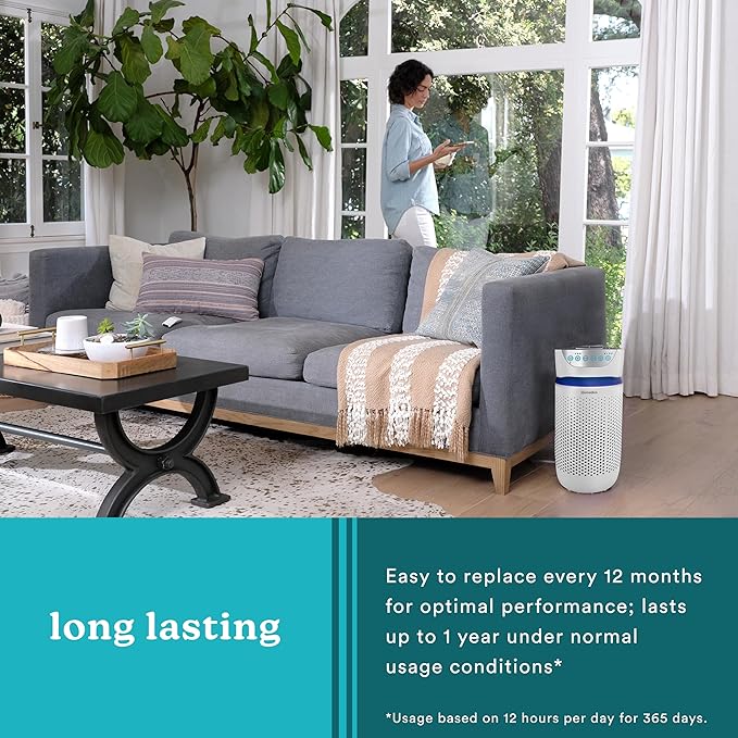 Homedics TotalClean 3-in-1 HEPA-Type Air Purifier Filter Replacement, Works with Homedics AP-T20, AP-T20WT and AP-T22 Air Purifiers, Captures Microscopic Airborne Particles