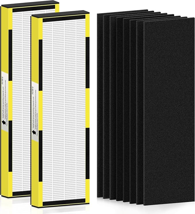 FLT4825 HEPA Filter B Replacement for Guar.dian Air Purifier AC4825 AC4300 AC4800 AC4900 AC4850, 2 HEPA Filter and 8 Pre-Filter by NISHCON
