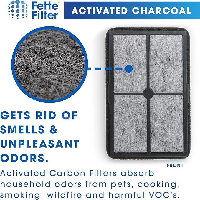 Fette Filter - FLT4010 Replacement Filter Compatible with GermGuardian Filter A for Models AC4010 & AC4020 Series and Black + Decker Model BXAP040 Air Purifiers - Pack of 2