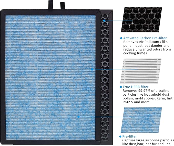 AP1002 H13 True HEPA Replacement Filter, Compatible with AP1002 Air Purifier and Pure Morning APH230C Air Purifier, Compare to AP1002-RF, 2Pack
