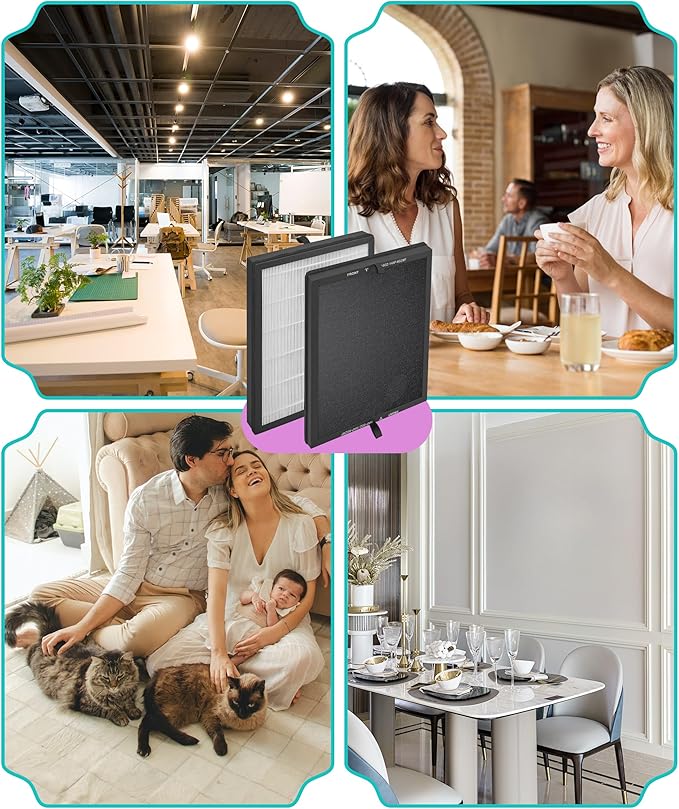 HAP602 Replacement Filter Compatible with ECOSELF Air Purifier HAP602 HAP602WF, 3-IN-1 Filtration with H13 HEPA Activated Carbon Filters, 2 Counts